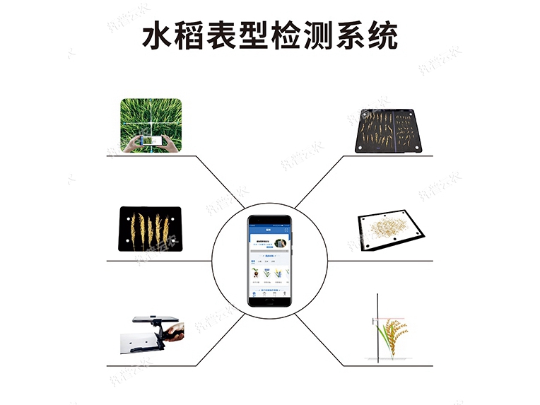 水稻表型檢測系統TPS-BX-1