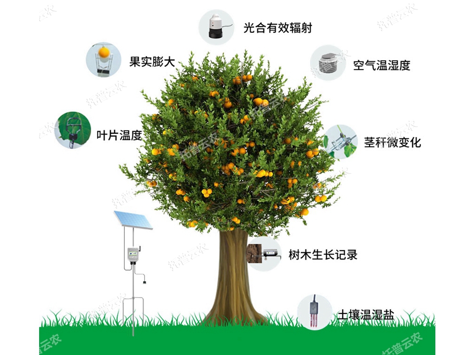 植物生理生態監測系統TP-ZWSL