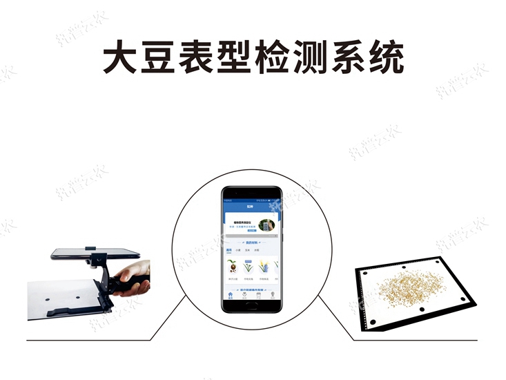 大豆表型檢測系統TPD-BX-1