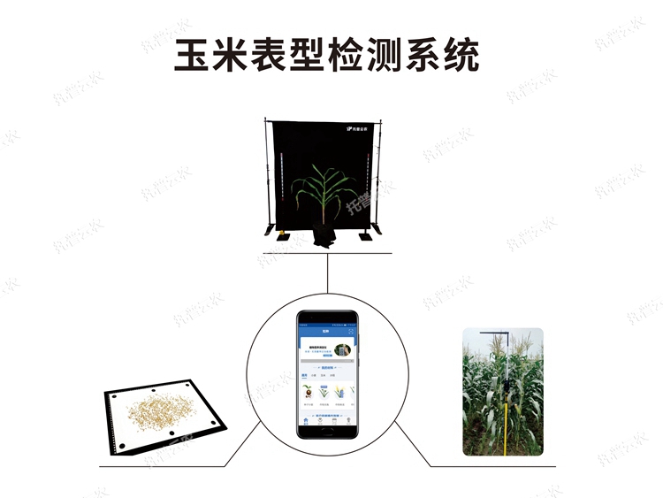 玉米表型檢測系統TPY-BX-1