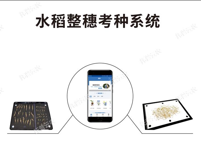 水稻整穗考種測量系統TPDS-X-1 plus