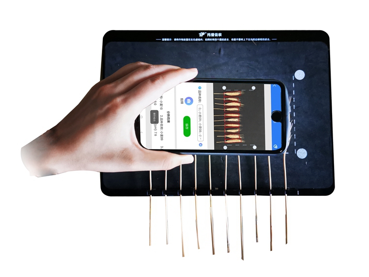 麥穗形態測量儀TPMS-X-1