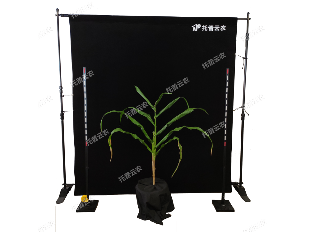 玉米株型分析系統TPMT-X-1