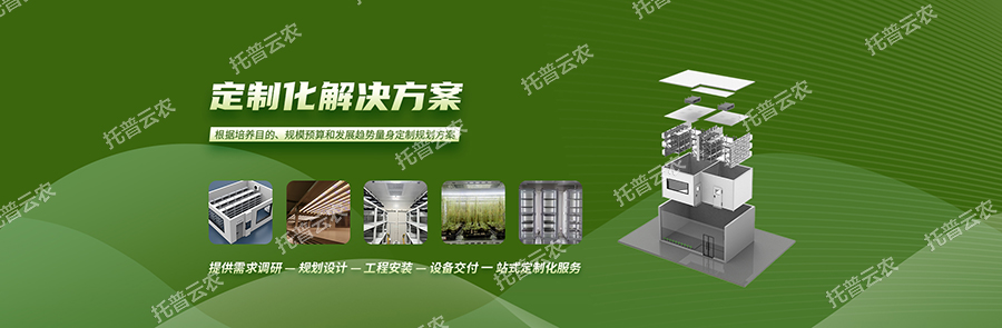 云農1.jpg